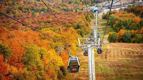 Vermont Foliage Tour