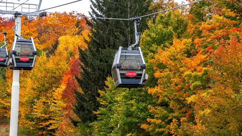 Vermont Foliage Tour