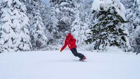 Stratton Mountain Winter Jobs