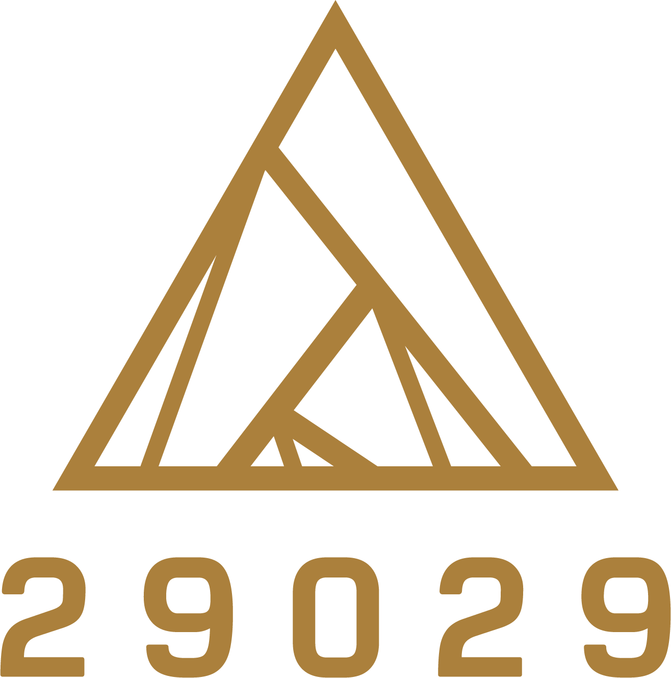 29029 logo