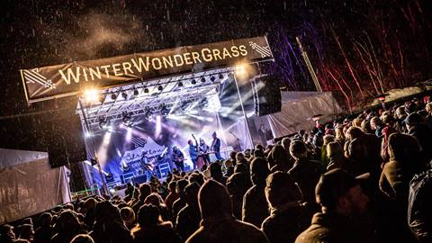 WinterWonderGrass