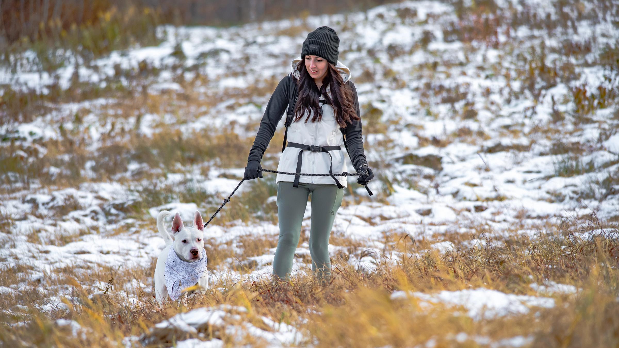 how do i start hiking with my dog